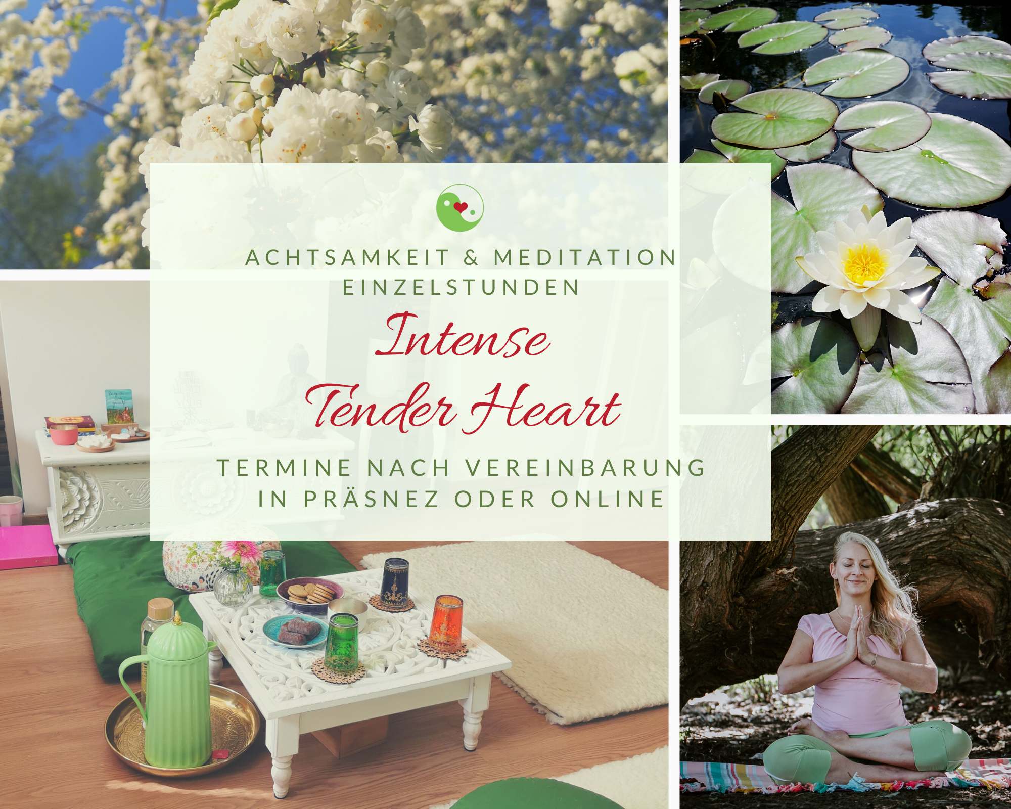 meditationen_achtsamkeit_herzverbundensein_essen_intense tender heart Meditationen Achtsamkeit Herzverbundensein Essen Intense Tender Heart