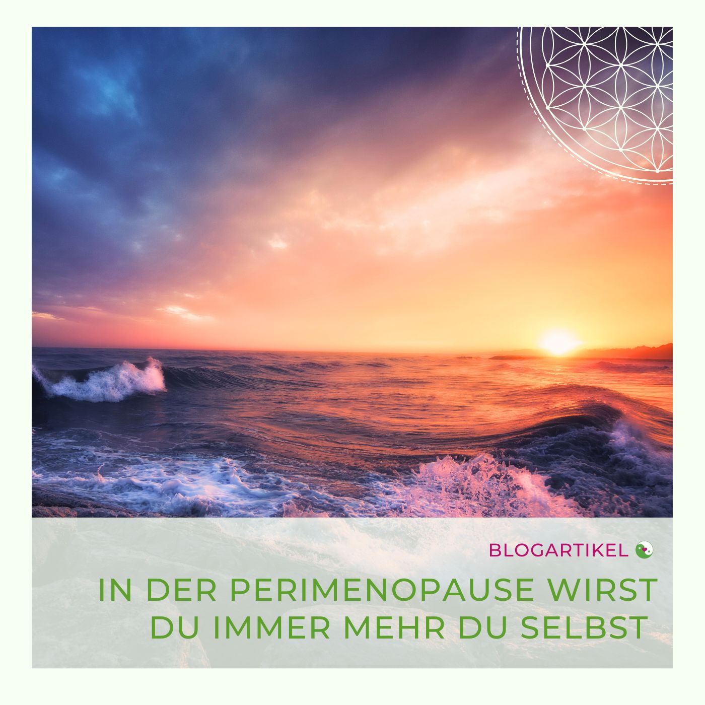 Blogartikel Perimenopause Neurodivergenz Energie